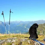 Haus Sonnleiten *