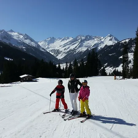 Daire Haus Sonnleiten *