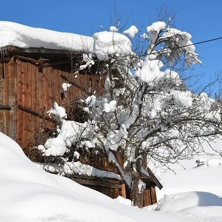 Daire Haus Sonnleiten Gerlos