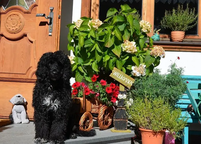 アパート Haus Sonnleiten