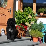 Apartamento Haus Sonnleiten